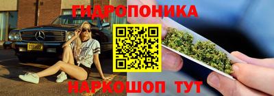 стаф Лесосибирск