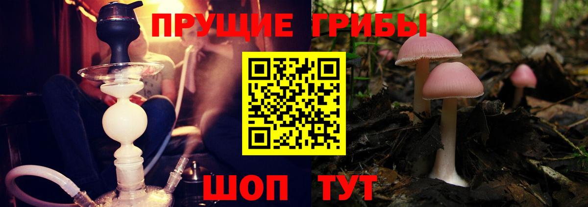 Галлюциногенные грибы прущие грибы  Вход с VPN  Изобильный 